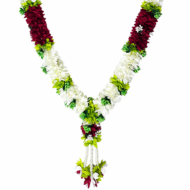 Royal Parrot Green Photo Haar