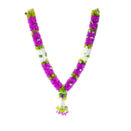 Royal Photo Haar Pinkgreen