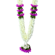 Photo Haar / Garland - Image 7