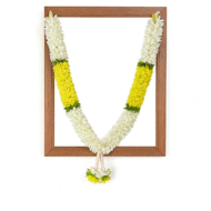 Photo Haar / Garland