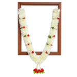 Jasmine Photo Haar / Garland