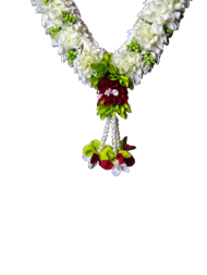 Photo Haar / Garland - Image 7