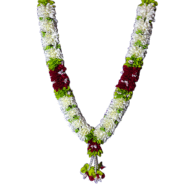 Photo Haar / Garland - Image 4