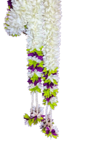 MAIN DOOR TORAN 6*4 FEET - Image 3